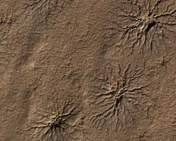 Пауки на Марсе: как ученые NASA создали марсианских 