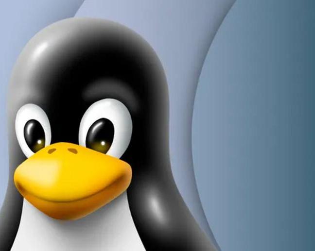 Графический драйвер AMD для Linux становится слишком большим для старых устройств / ИИ, сервисы и приложения / iXBT Live